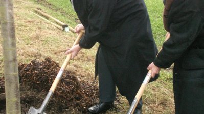 Ministerpräsident pflanzt letzten Alleebaum in Brauweiler-Glessen