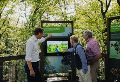 Besuch des Naturerlebnisparks Panarbora und Rundgang auf dem Baumwipfelpfad