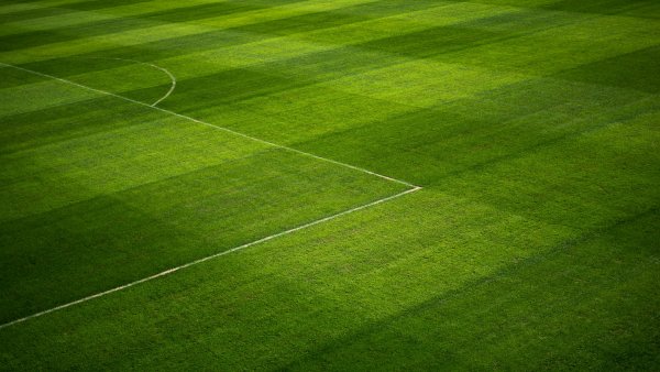 Leeres Fußballfeld, gemäht