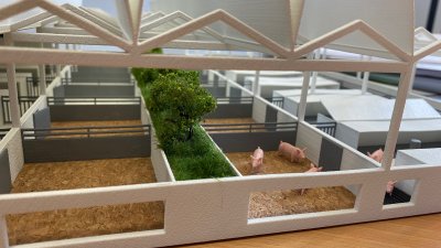 Seitenansicht in ein Modell von einem Stall, mit kleinen Plastikschweinchen